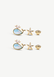 Whale Starfish Shell Stud Earring Set